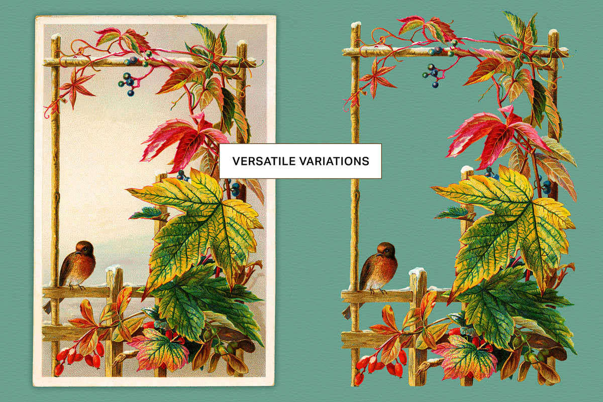 Vintage illustration of a bird on a trellis of fall leaves and show digital graphic.