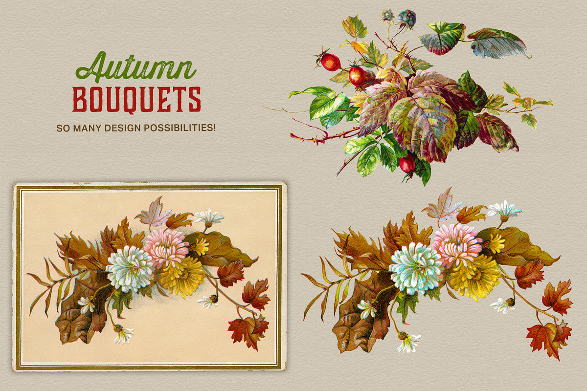 Autumn bouquets with leaves and flowers vintage illustration digital graphics.