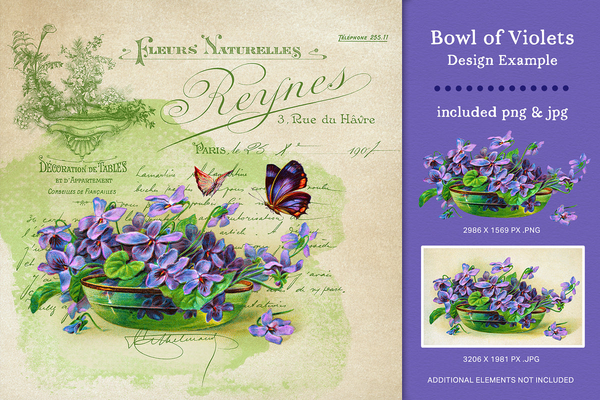 Bowl of Violets vintage floral illustration shown in a design example with included transparent PNG and JPEG files.
