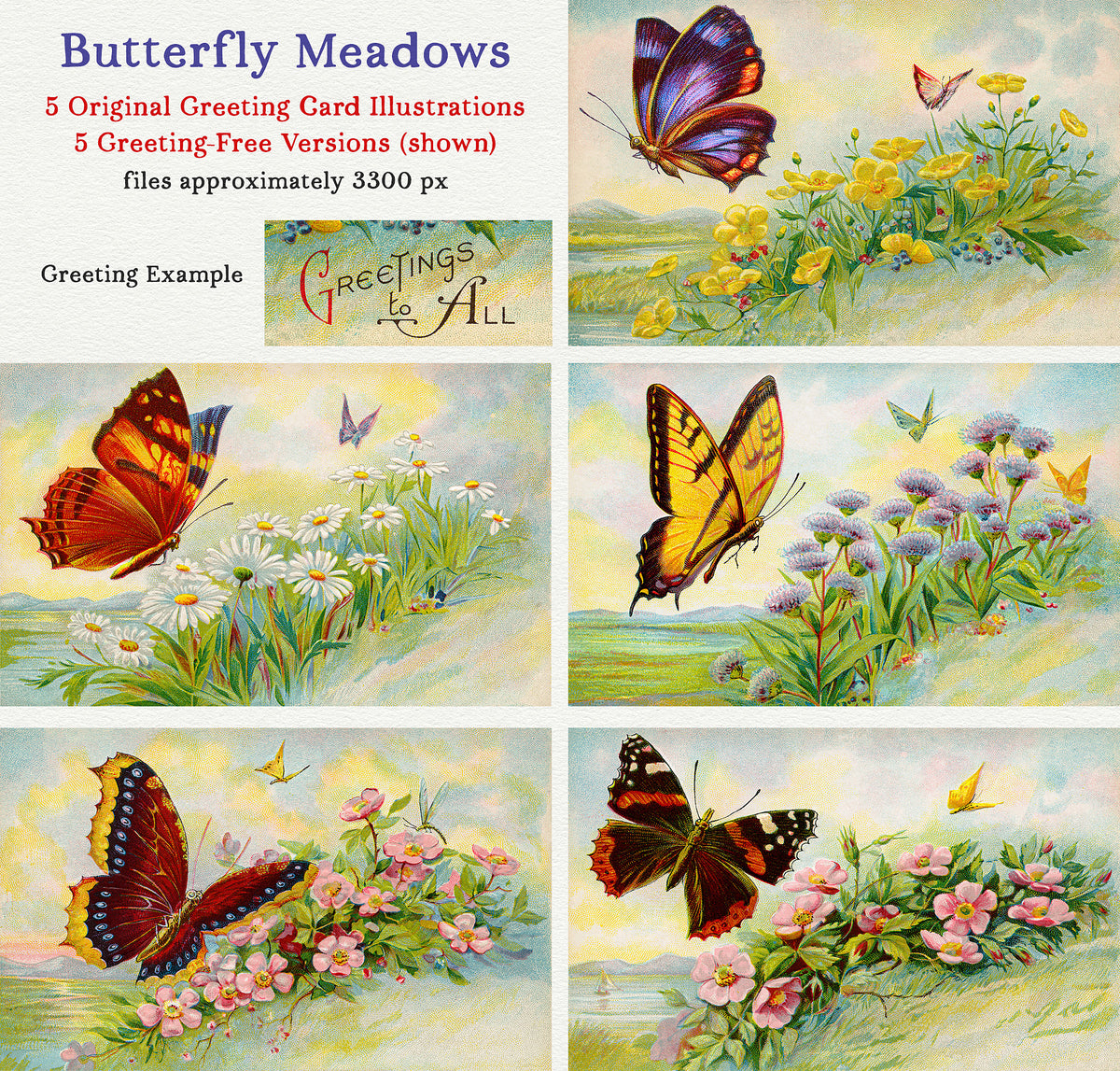 Five vintage butterfly and wildflower meadow illustrations, shown with and without their original greetings.