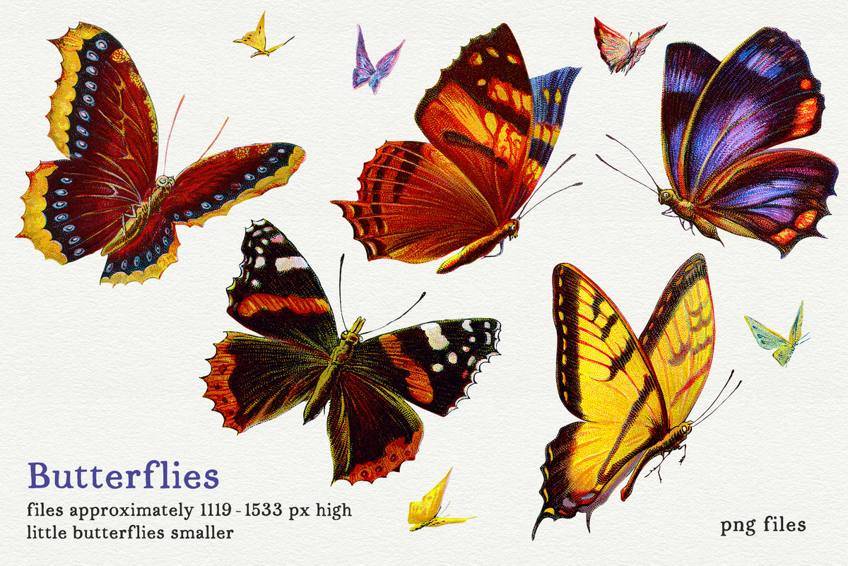 Ten extracted vintage butterfly PNGs, including five larger butterflies and five small butterflies.