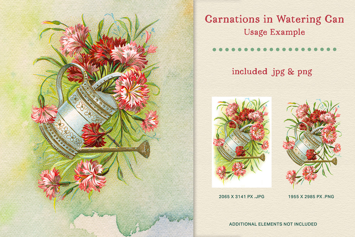 Vintage carnations in a watering can shown in a design example with included transparent PNG and JPEG files.