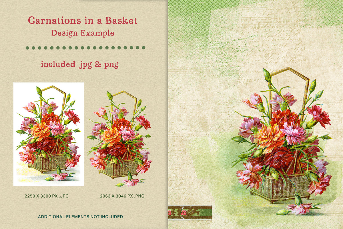 Vintage carnations in a basket shown in a design example with included transparent PNG and JPEG files.