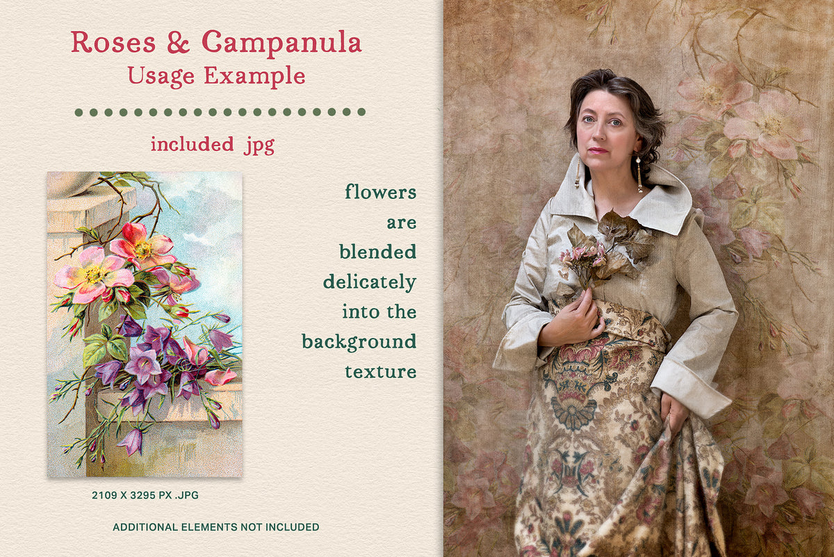 Vintage Roses and Campanula illustration shown as a JPEG and delicately layered over a photographic texture.