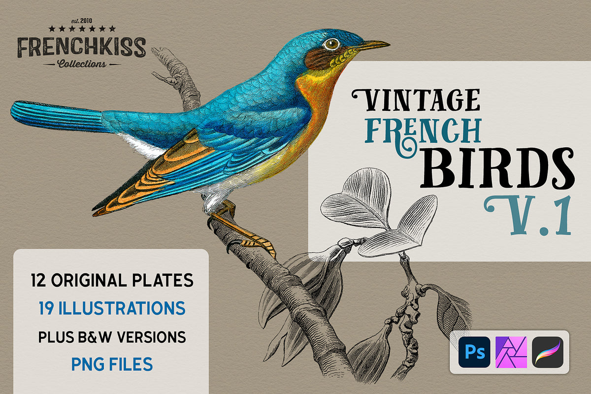Vintage French Birds V.1 digital graphics.