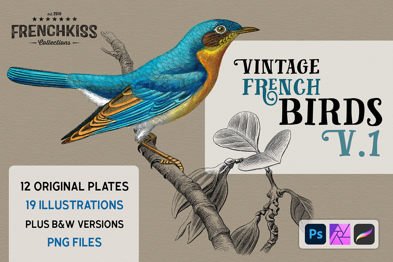 Vintage French Birds V.1 digital graphics.