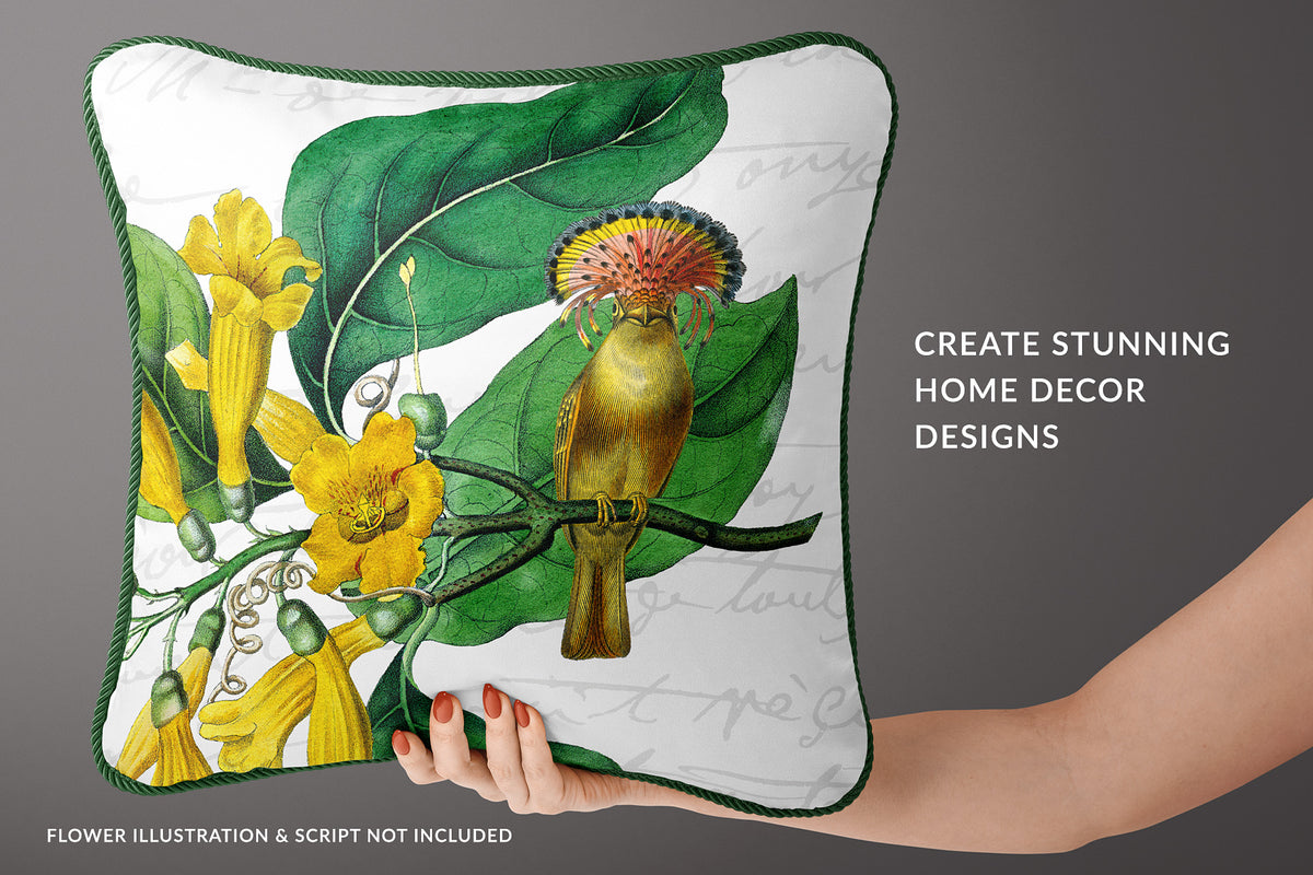 Throw pillow design with a vintage bird, flower, and French script.