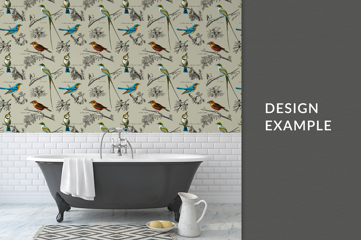 Vintage French bird illustrations used for a wallpaper pattern. Shown in a bathroom.