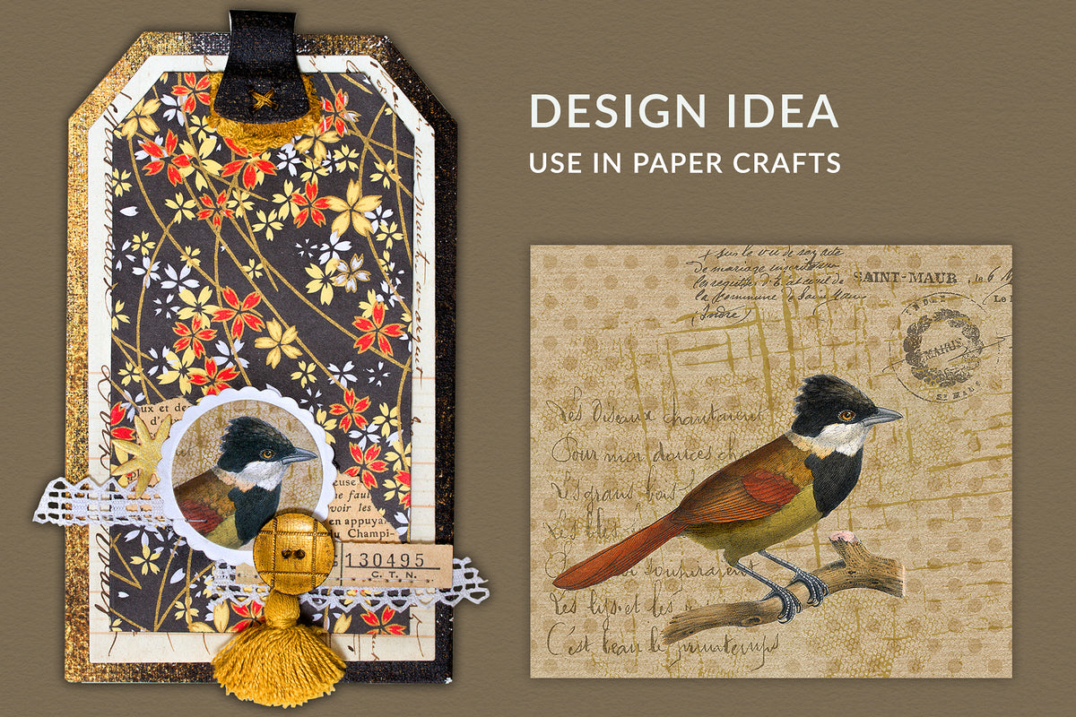 Create designs using a vintage French bird illustration, print it out and use in your craft projects.