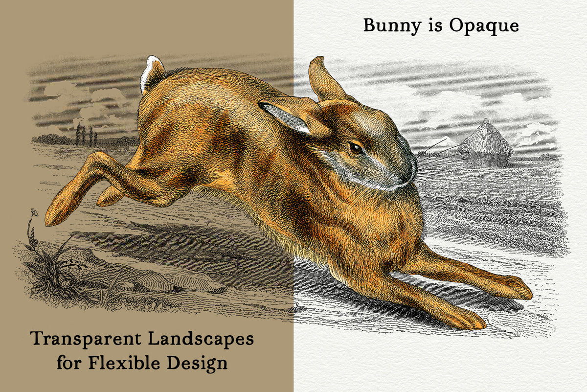 Vintage French Bunny rabbit illustrations with transparent landscape background PNGs.