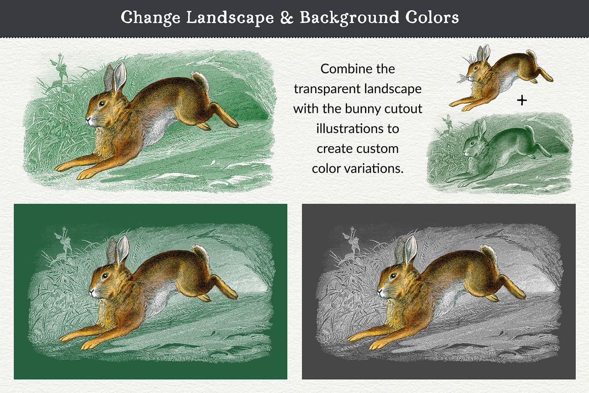 Illustrations of a bunny rabbit graphic with options to change landscape and background colors.