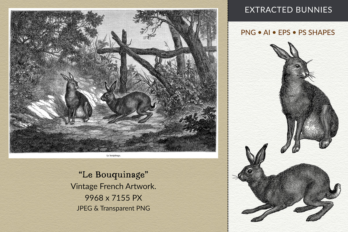 Vintage French artwork of bunny rabbits with digital extraction options on the right.
