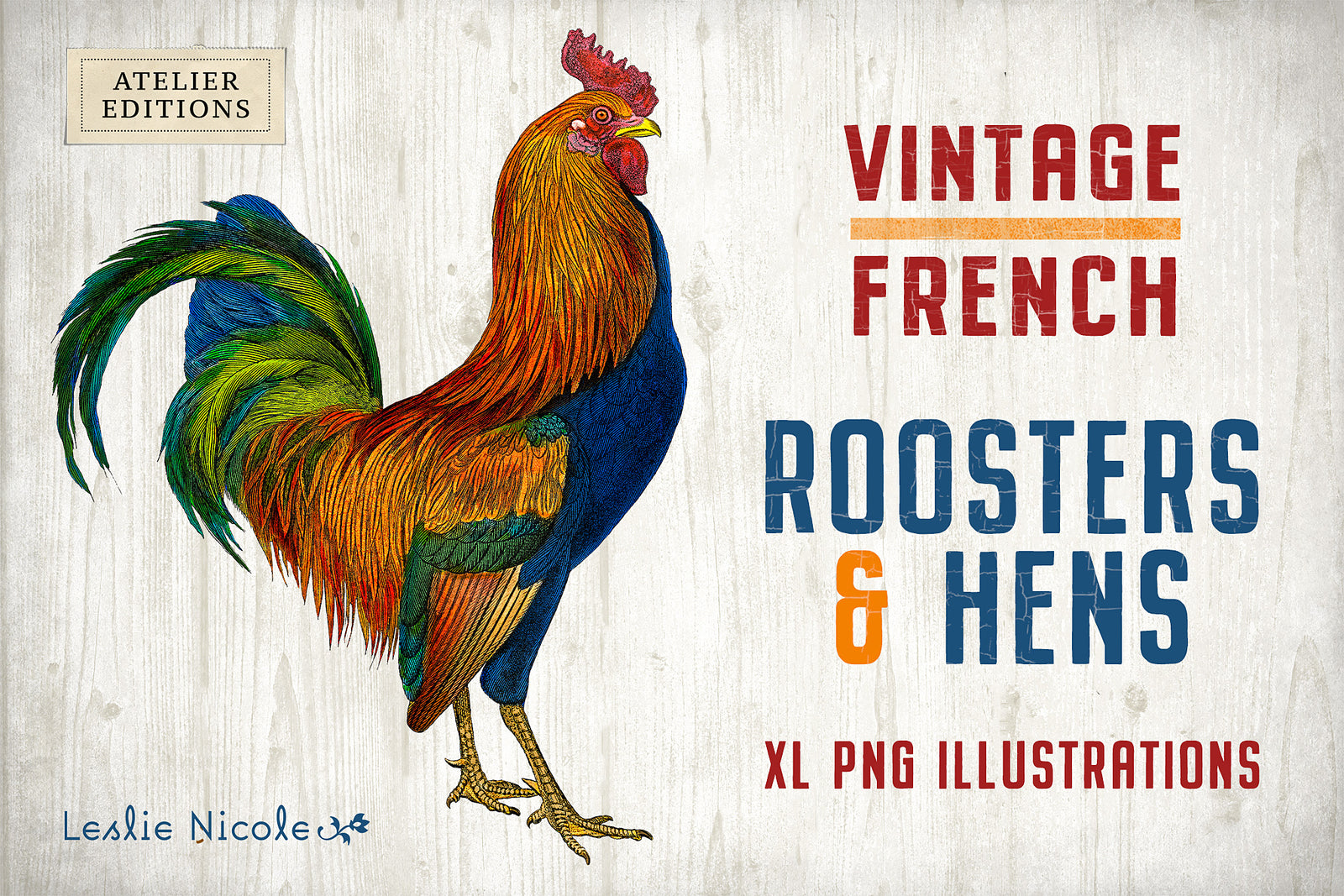 Vintage French rooster and hen illustrations from 19th century engravings, restored high-resolution PNG collection.