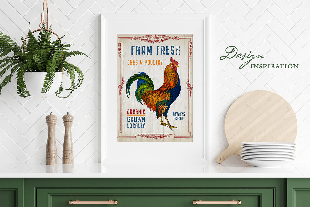 Vintage French rooster illustration displayed as framed wall art, 19th century engraving, high-resolution design example