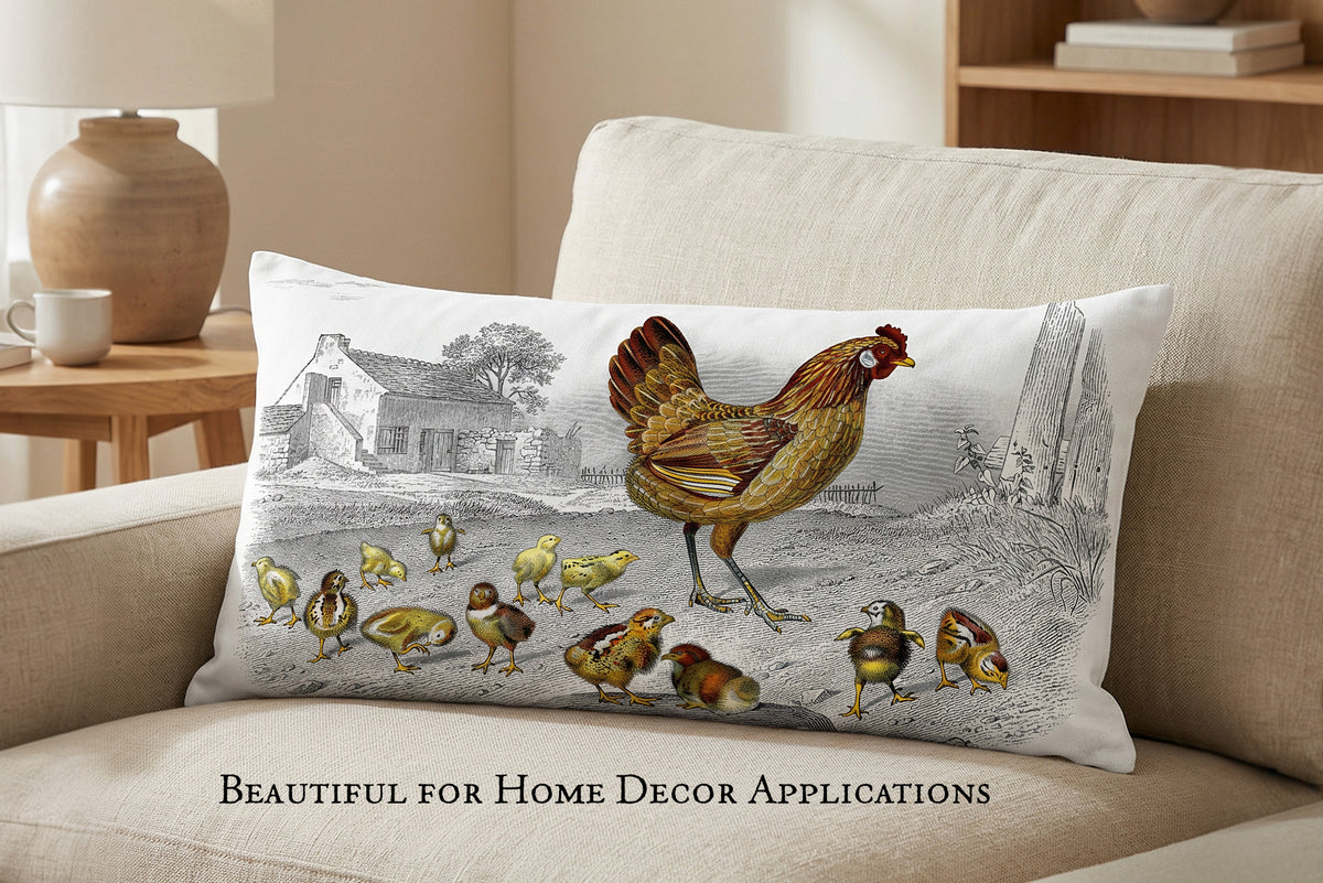 Vintage French hen and chicks illustration applied to home decor pillow design, example of textile and interior use