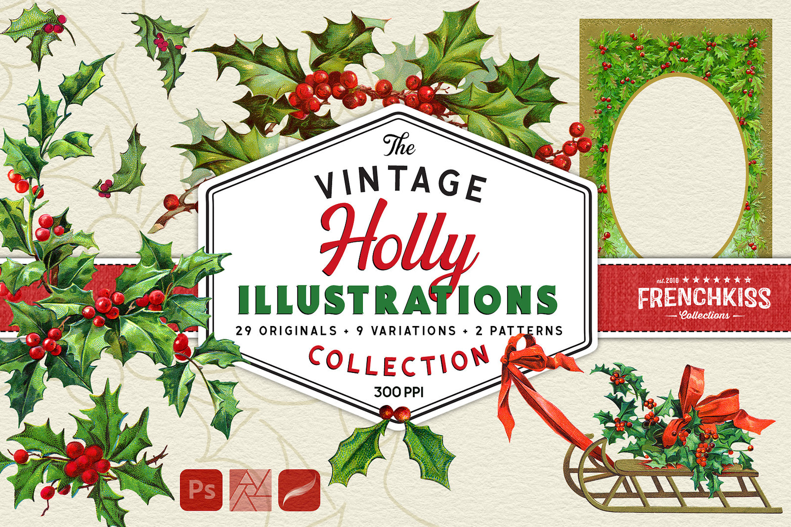 Vintage holly illustration digital graphics extended license.