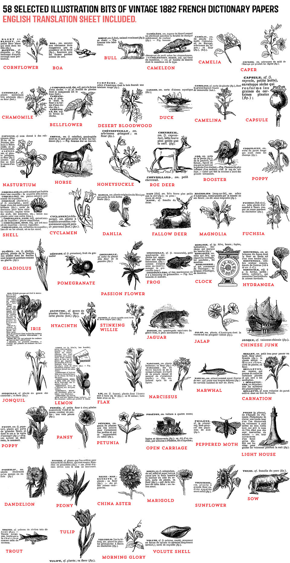 58 vintage French dictionary snippet overlays with illustrations.