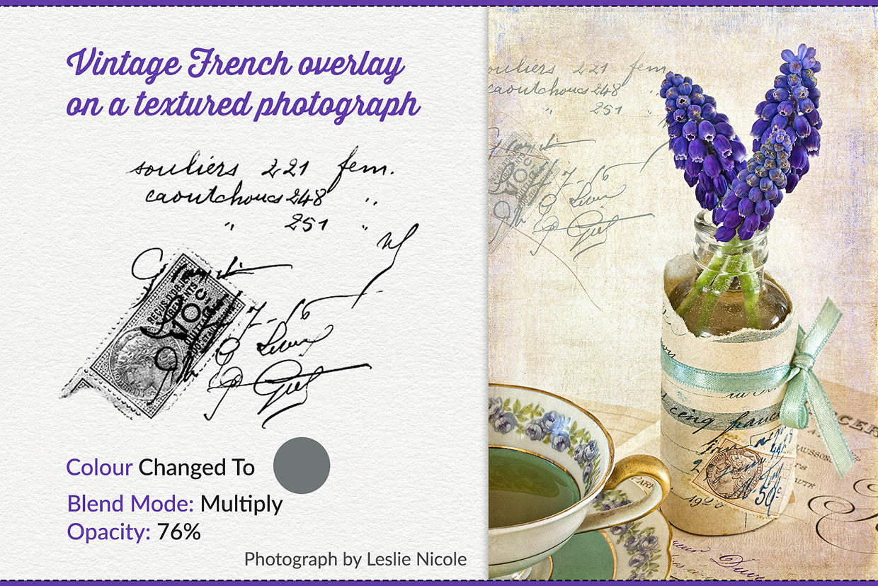 The Essential Vintage French Graphics Collection - Leslie Nicole
