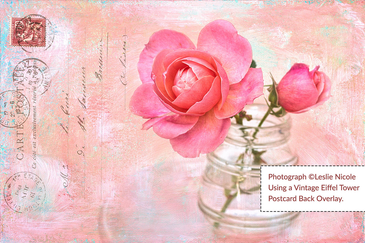 A textured rose photograph by Leslie Nicole with an Eiffel Tower postcard back digital overlay from The Essential Vintage French Graphics Collection.