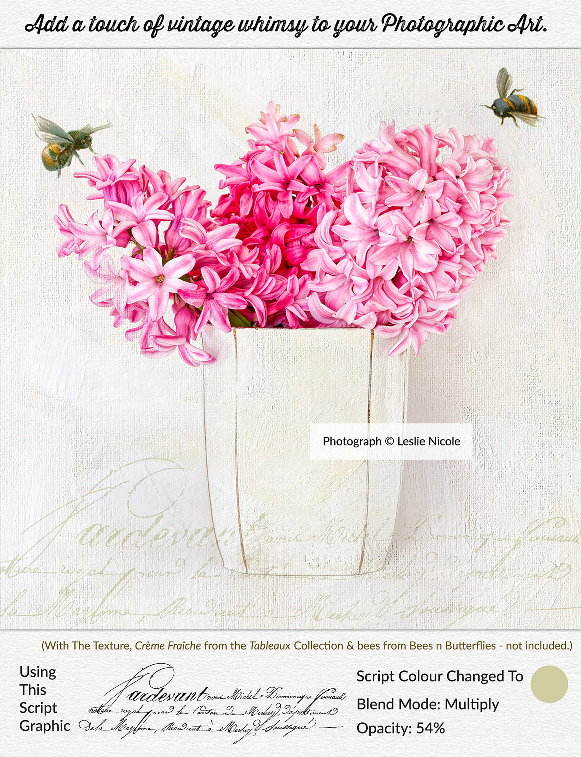 A textured photograph of Hyacinthe in a vase with a vintage French script overlay from  The Essential Vintage French Graphics Collection.