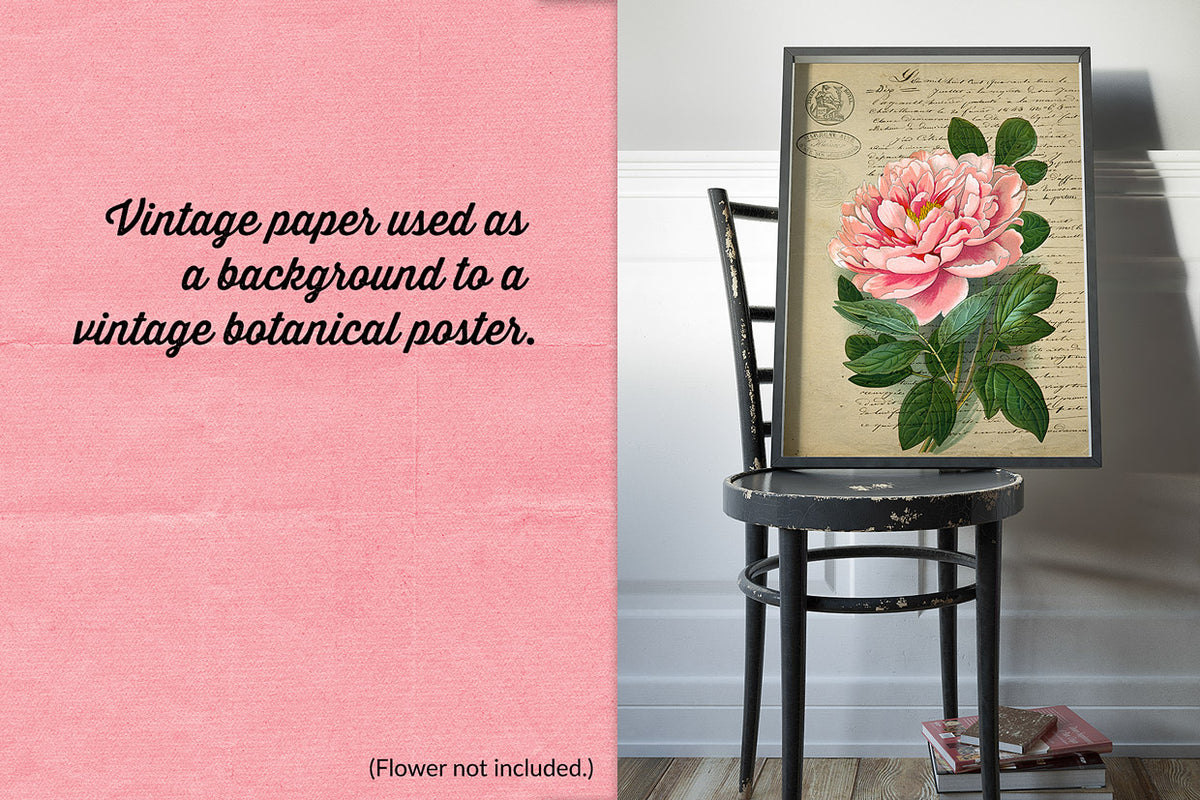 Lovely vintage botanical peony print uses a vintage French paper from The Essential Vintage French Graphics Collection as a background.